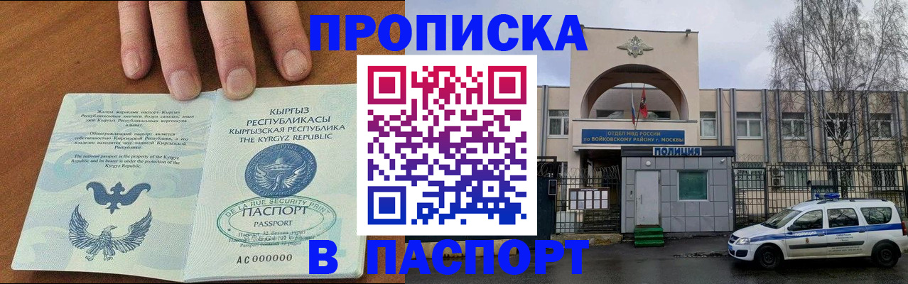 временная прописка в Волоколамске